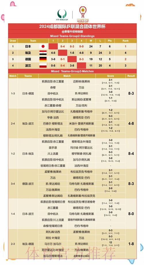 世界杯赛果预测与深入分析